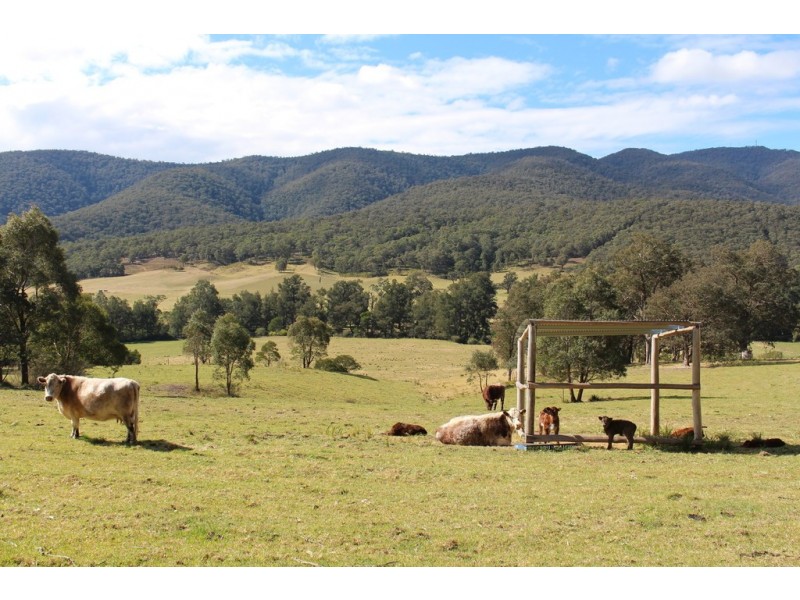 141 Bourkes Road, Yowrie NSW 2550