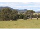 141 Bourkes Road, Yowrie NSW 2550