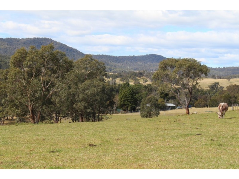 141 Bourkes Road, Yowrie NSW 2550