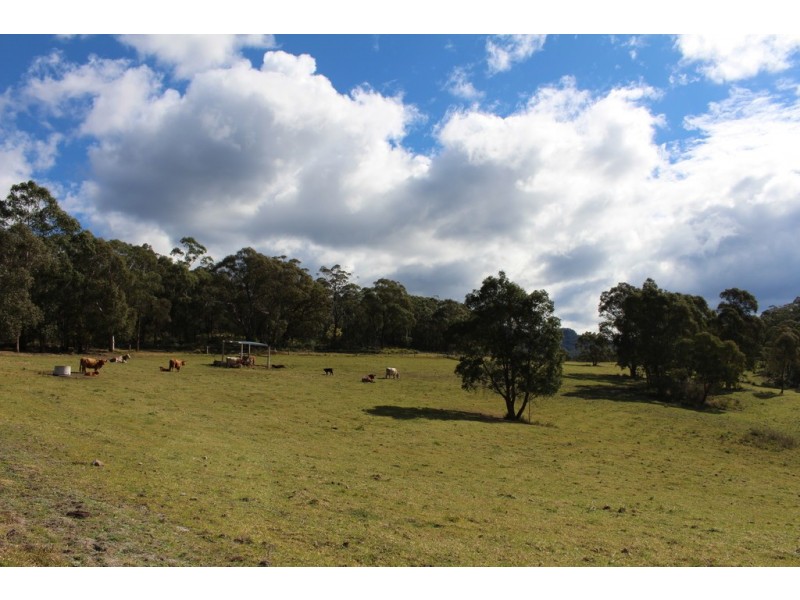 141 Bourkes Road, Yowrie NSW 2550