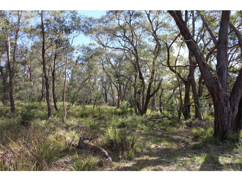 141 Bourkes Road, Yowrie NSW 2550