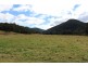 141 Bourkes Road, Yowrie NSW 2550