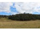 145 Bourkes Road, Yowrie NSW 2550