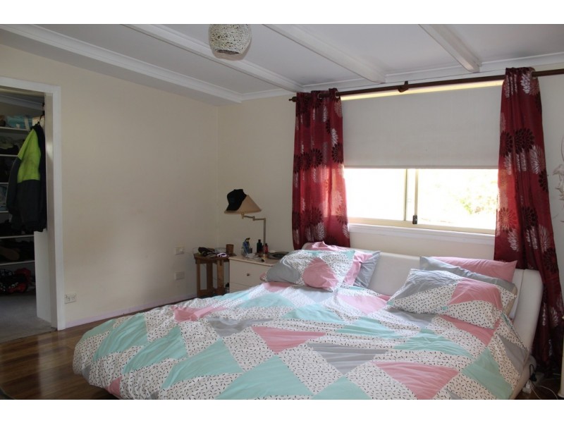 285 Frogs Hollow Lane, Bega NSW 2550