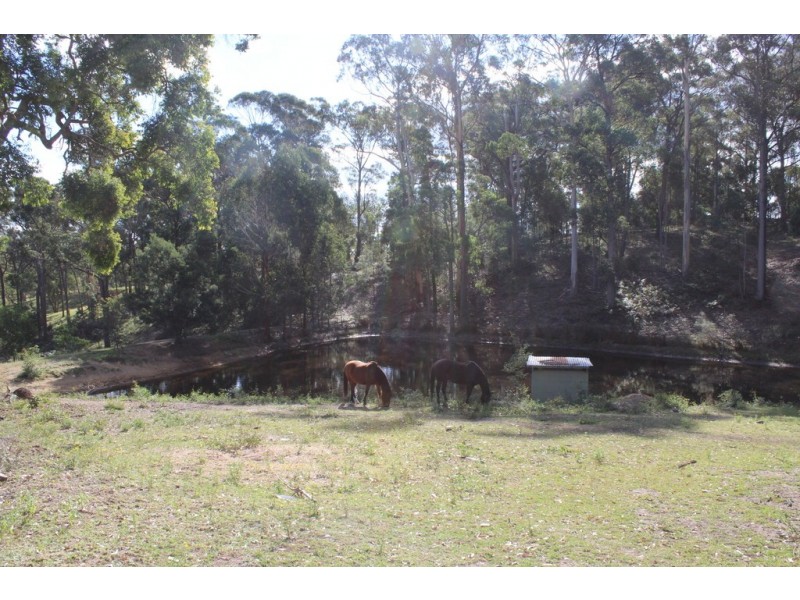 285 Frogs Hollow Lane, Bega NSW 2550