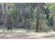 285 Frogs Hollow Lane, Bega NSW 2550
