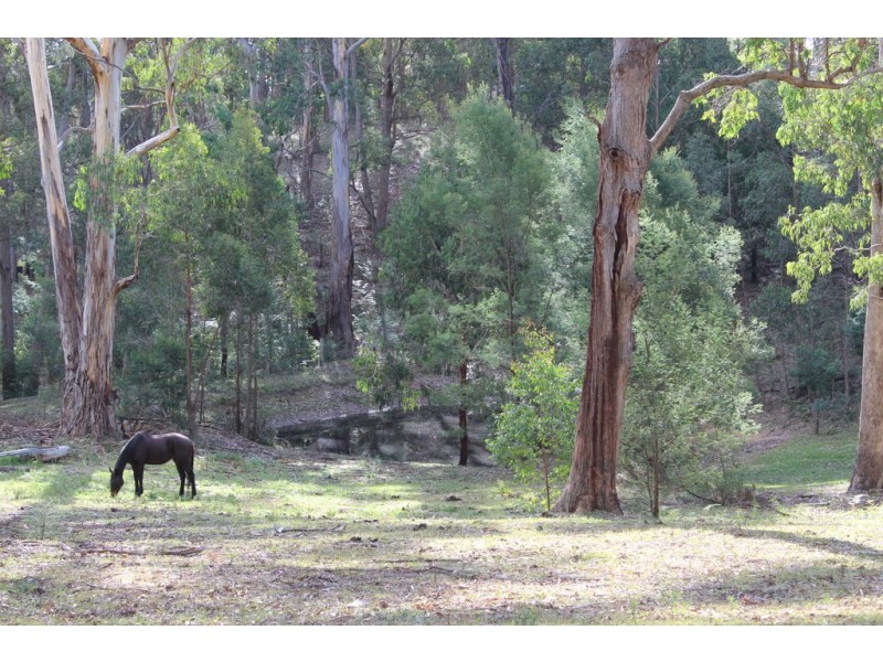 285 Frogs Hollow Lane, Bega NSW 2550