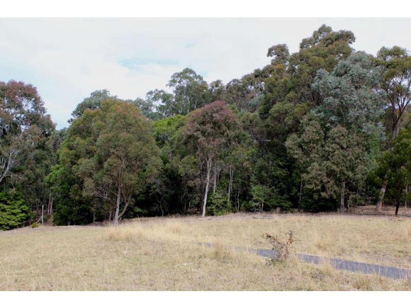 187 Black Range Road, Bega NSW 2550