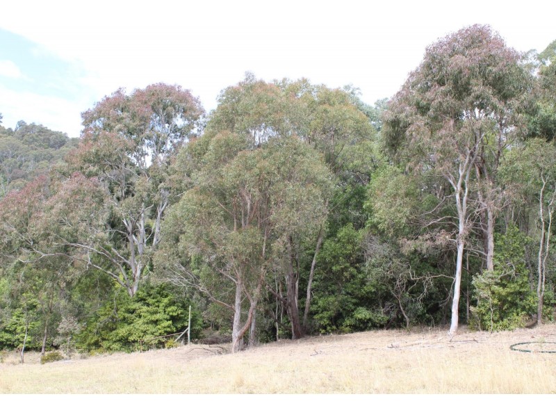 187 Black Range Road, Bega NSW 2550