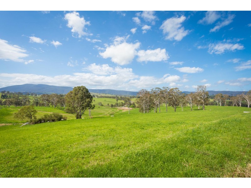 “Hillview” Princes Highway, Bega NSW 2550