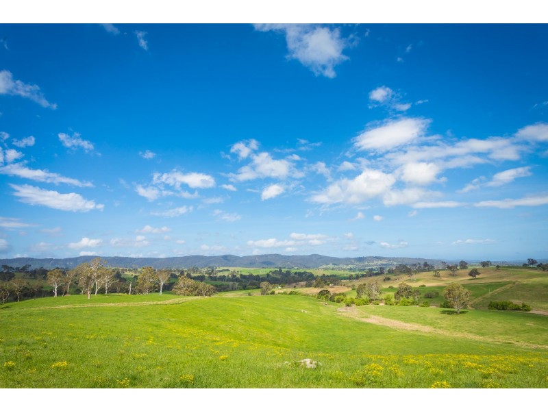 “Hillview” Princes Highway, Bega NSW 2550