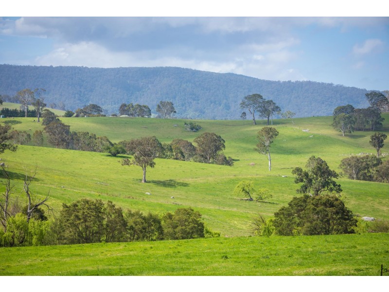 “Hillview” Princes Highway, Bega NSW 2550