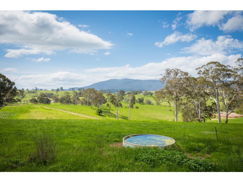 “Hillview” Princes Highway, Bega NSW 2550