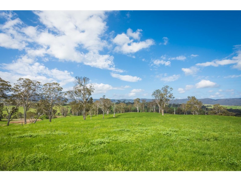 “Hillview” Princes Highway, Bega NSW 2550