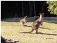 1949 Upper Brogo Road, Brogo NSW 2550