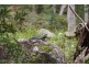1949 Upper Brogo Road, Brogo NSW 2550