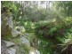 1949 Upper Brogo Road, Brogo NSW 2550