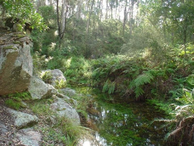 1949 Upper Brogo Road, Brogo NSW 2550