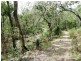 1949 Upper Brogo Road, Brogo NSW 2550