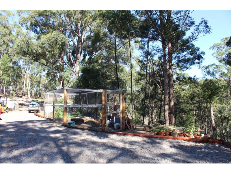 662 Hawks Head Road, Brogo NSW 2550