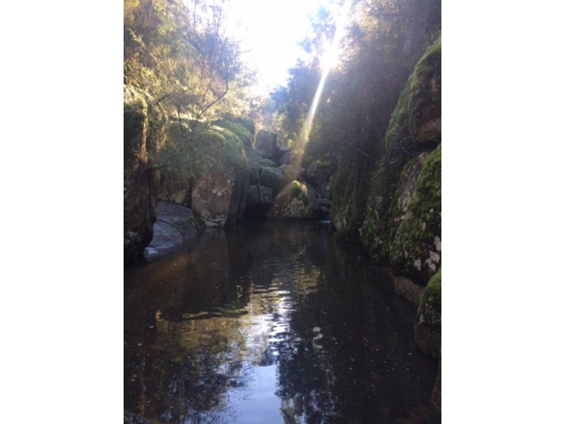 662 Hawks Head Road, Brogo NSW 2550