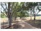 63 Spring Creek Road, Buckajo NSW 2550