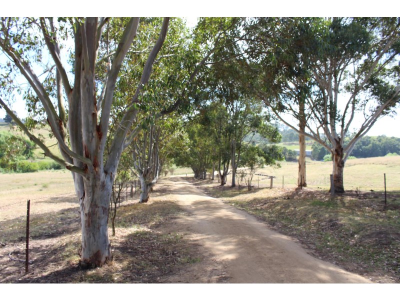 63 Spring Creek Road, Buckajo NSW 2550