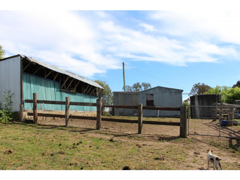 63 Spring Creek Road, Buckajo NSW 2550
