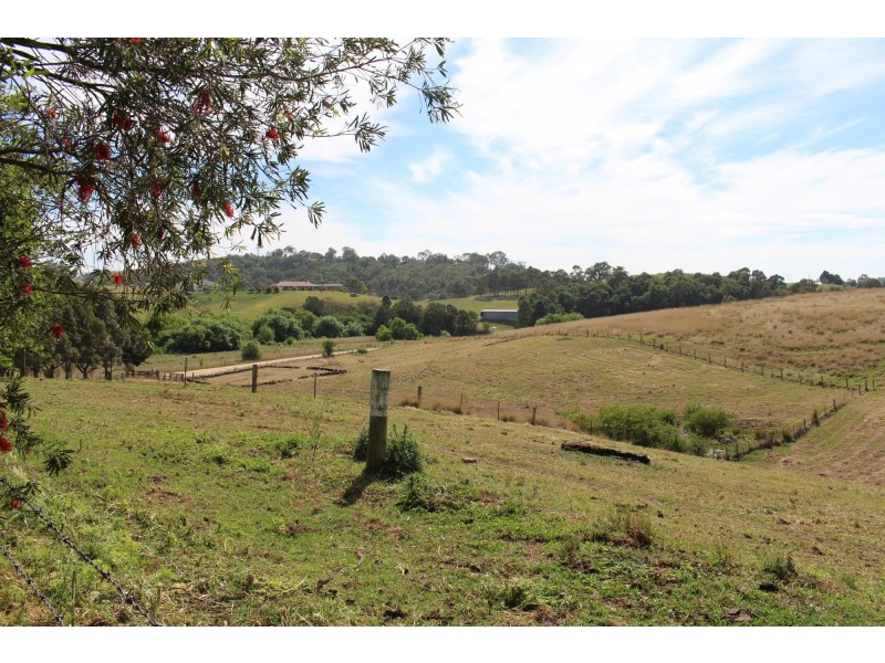 63 Spring Creek Road, Buckajo NSW 2550