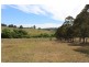63 Spring Creek Road, Buckajo NSW 2550