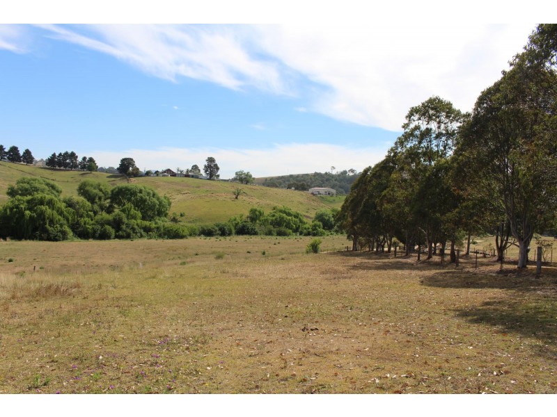 63 Spring Creek Road, Buckajo NSW 2550