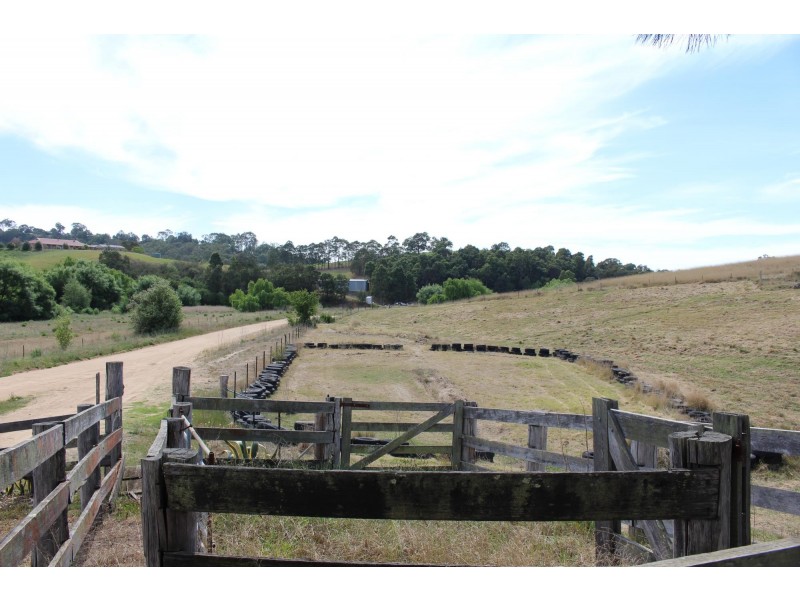 63 Spring Creek Road, Buckajo NSW 2550