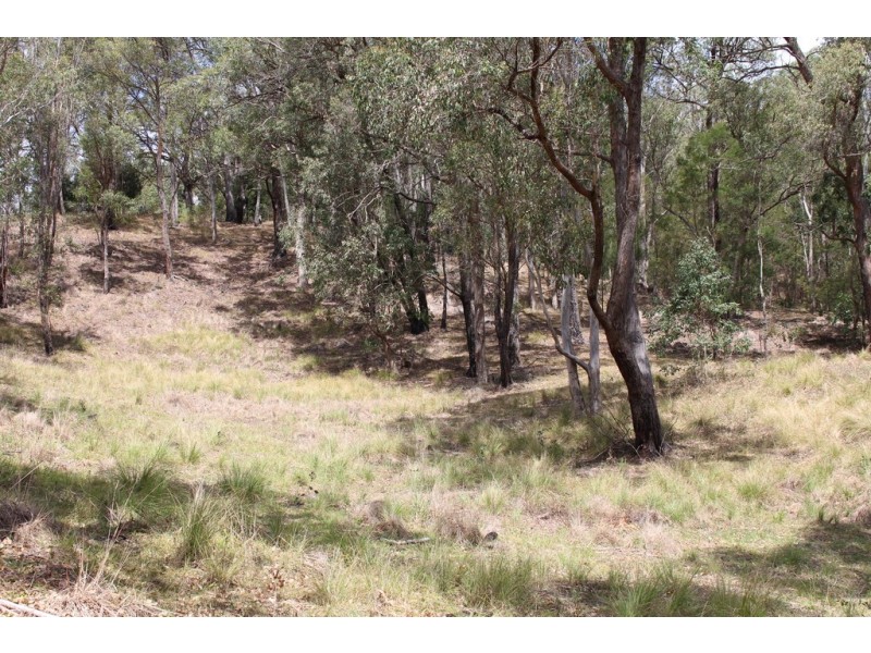 Lots 20 & Gillespie Street, Cobargo NSW 2550