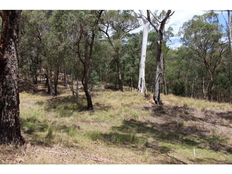 Lots 20 & Gillespie Street, Cobargo NSW 2550