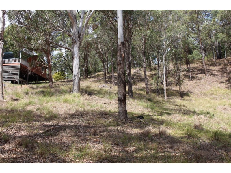 Lots 20 & Gillespie Street, Cobargo NSW 2550