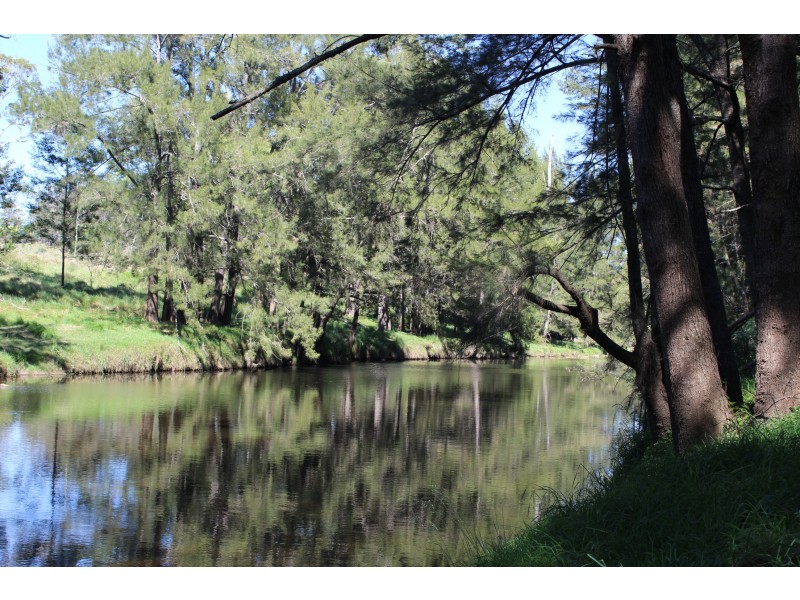 9985 Princes Highway, Cobargo NSW 2550