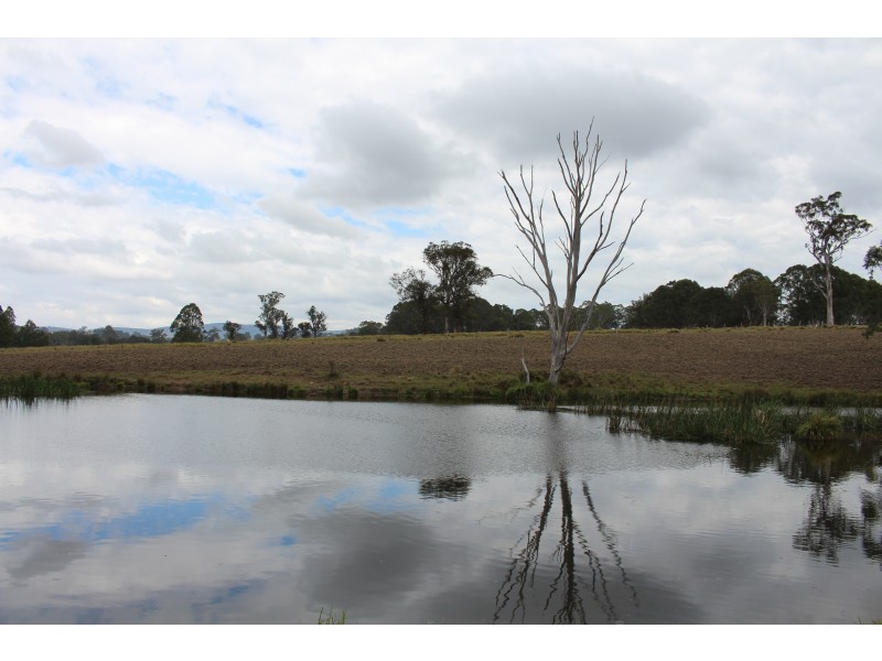 9985 Princes Highway, Cobargo NSW 2550