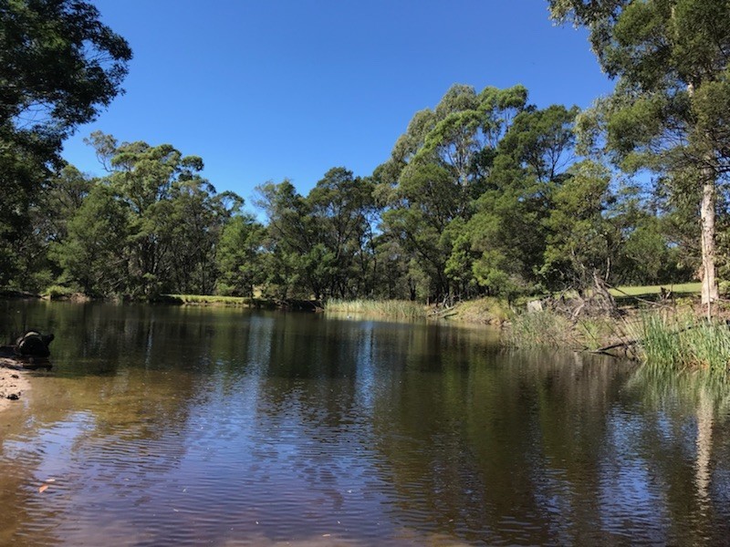 92 Israels Road, Brogo NSW 2550