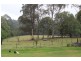 92 Israels Road, Brogo NSW 2550