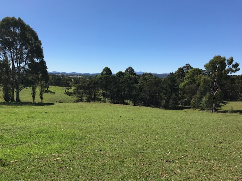 92 Israels Road, Brogo NSW 2550