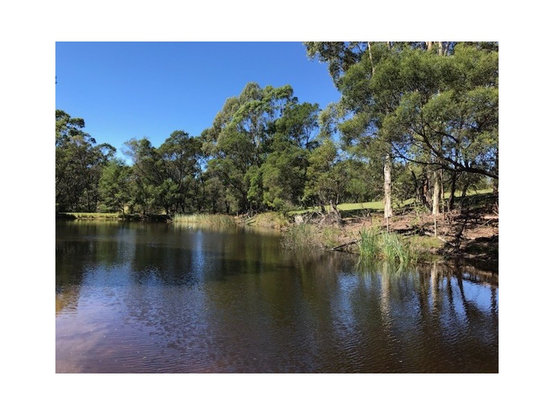 92 Israels Road, Brogo NSW 2550