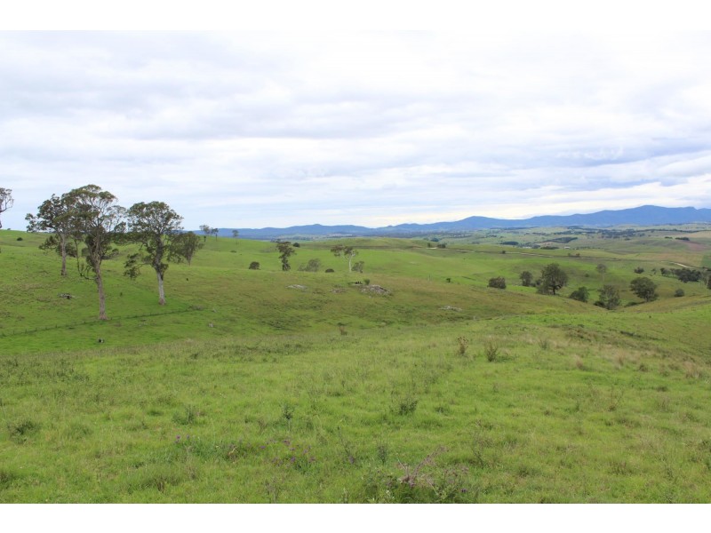 Lots 2, 1, Howard Hill Road Via Buckajo Road, Buckajo NSW 2550