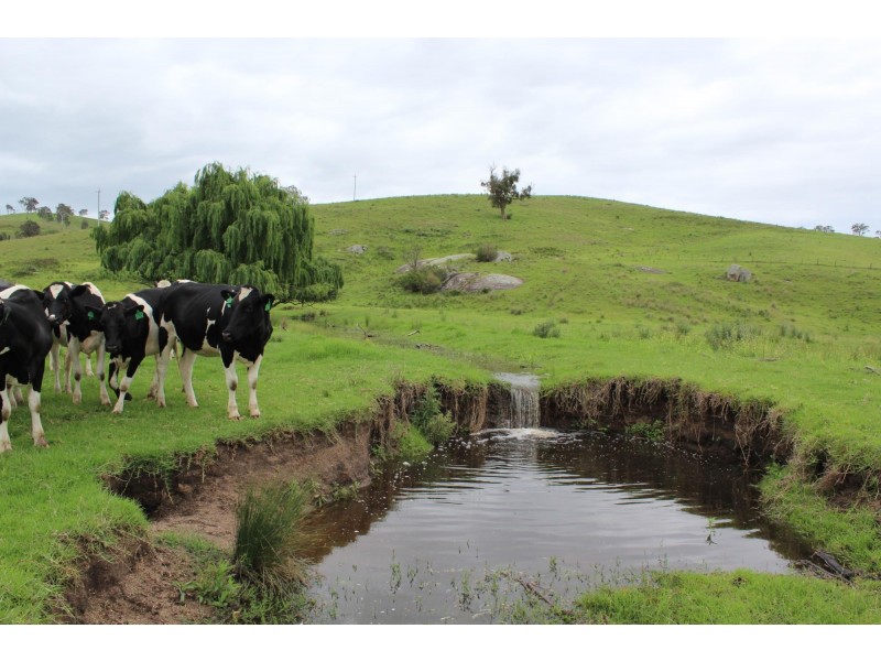 Lots 2, 1, Howard Hill Road Via Buckajo Road, Buckajo NSW 2550