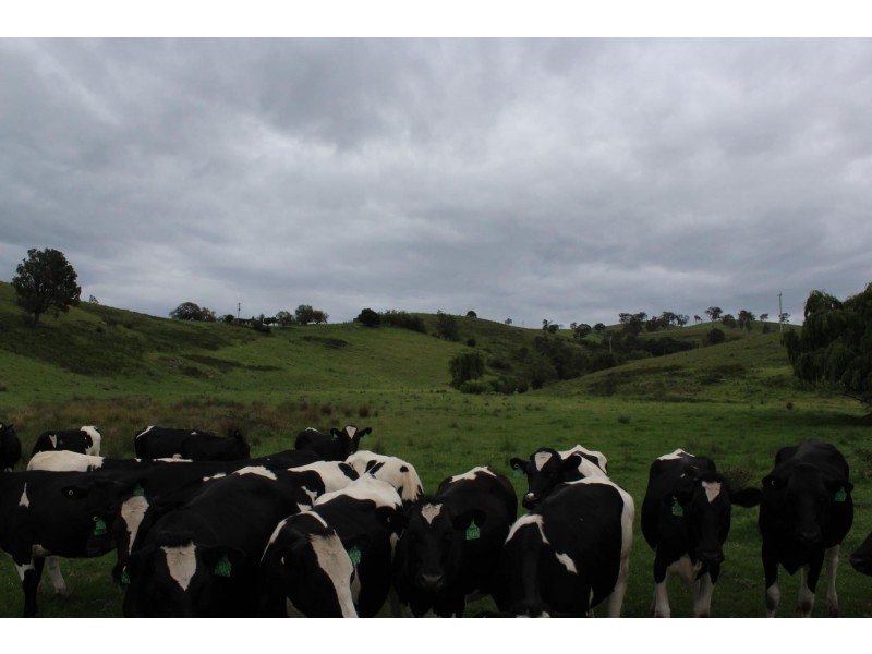 Lots 2, 1, Howard Hill Road Via Buckajo Road, Buckajo NSW 2550