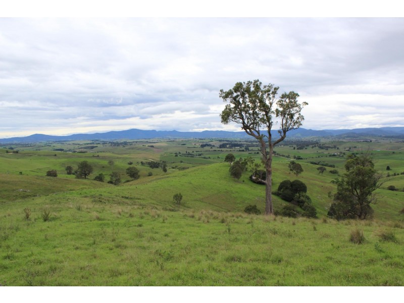 Lots 2, 1, Howard Hill Road Via Buckajo Road, Buckajo NSW 2550