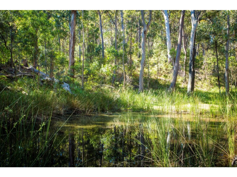 10 Ferntree Lane, Tathra NSW 2550