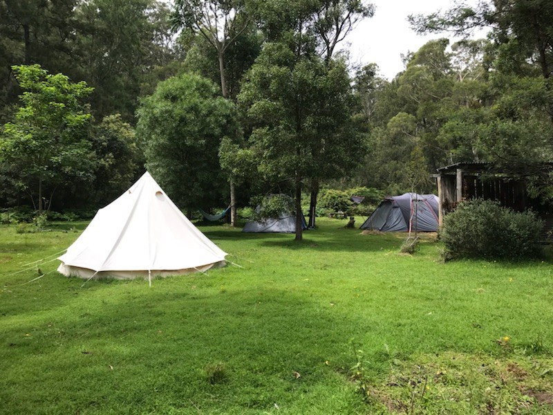 150 Lyrebird Ridge Road, Coolagolite NSW 2550