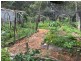 150 Lyrebird Ridge Road, Coolagolite NSW 2550