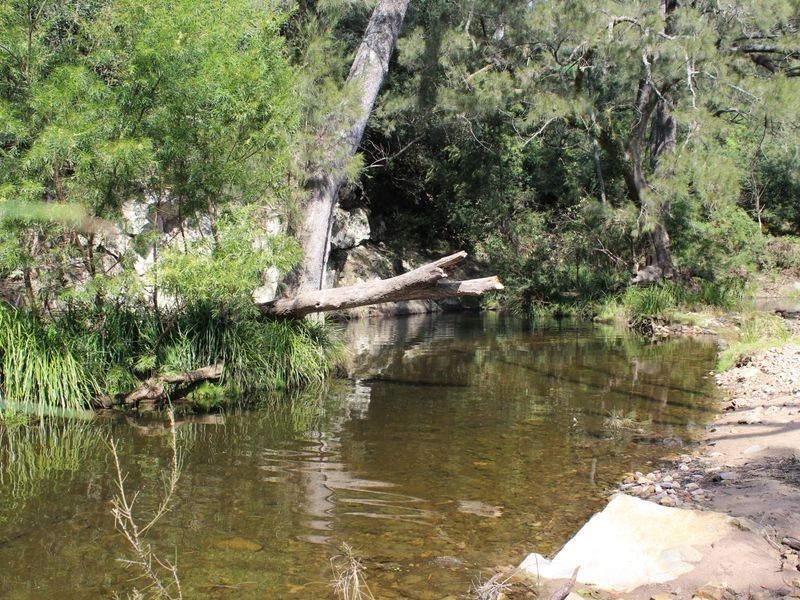 150 Lyrebird Ridge Road, Coolagolite NSW 2550