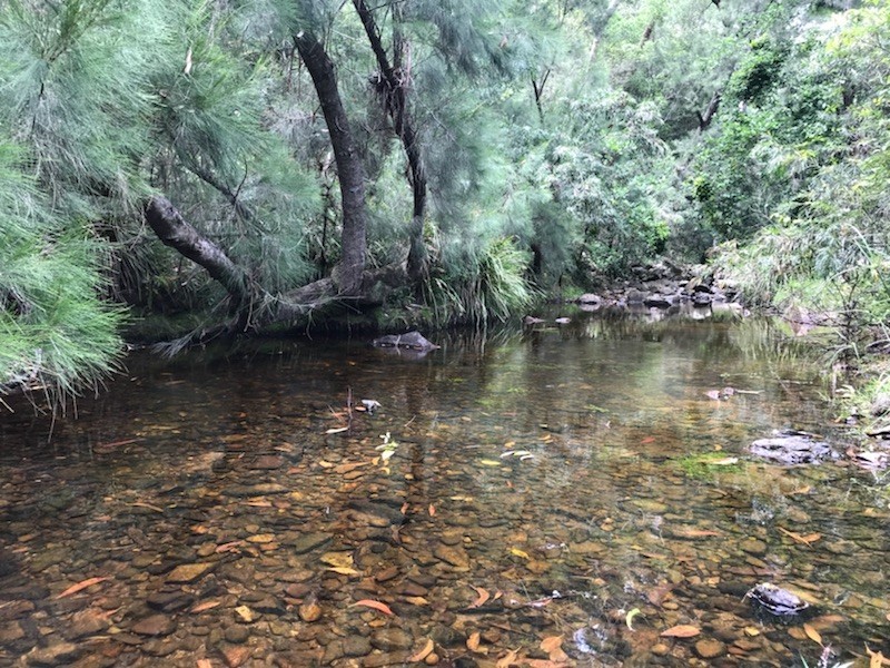 150 Lyrebird Ridge Road, Coolagolite NSW 2550